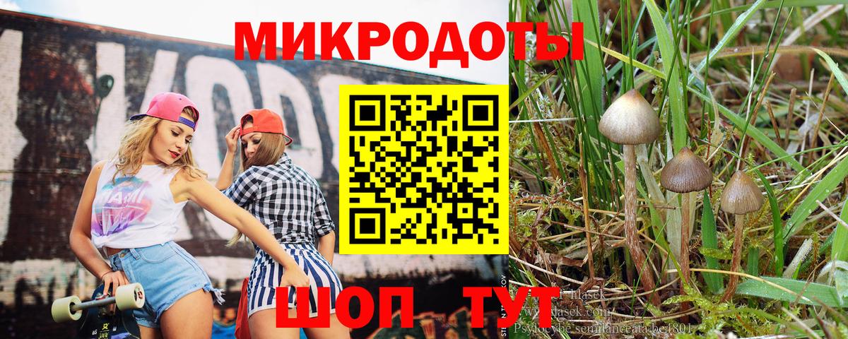 Псилоцибиновые грибы Psilocybine cubensis Стрежевой
