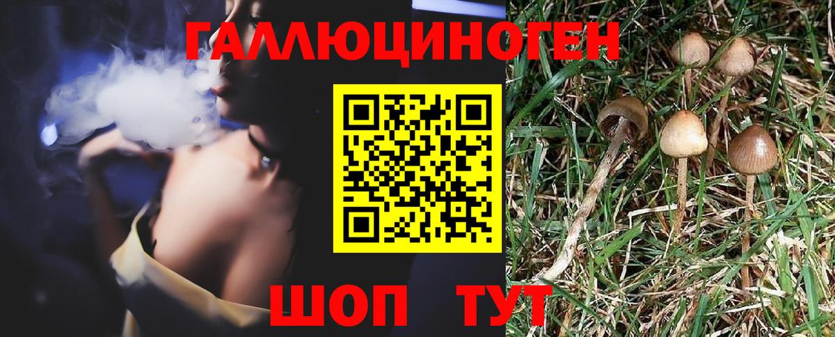 где можно купить наркотик  Галлюциногенные грибы мухоморы  Вход с VPN  Стрежевой 
